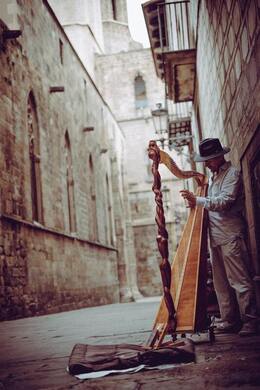 Photo by Danila Giancipoli from Pexels - Harp